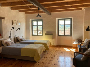 Camino House Motovun - Eco B&B, Motovun